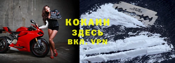 винт Щучье