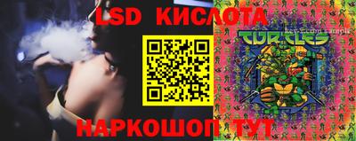 амф Кандалакша