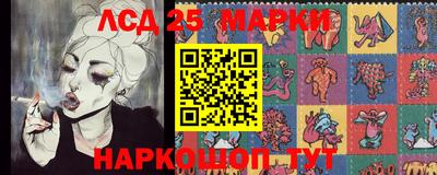 амф Кандалакша