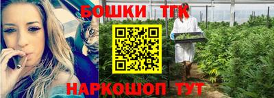амф Кандалакша