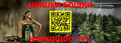 амф Кандалакша