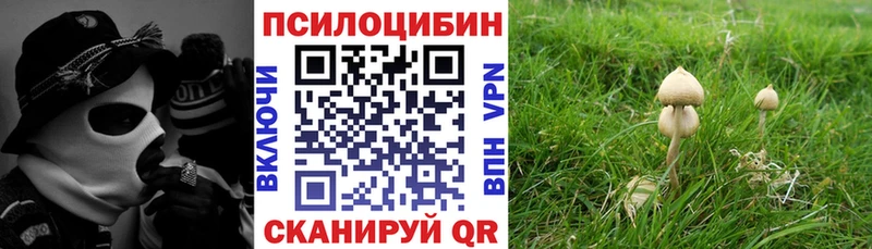 Галлюциногенные грибы MAGIC MUSHROOMS  Ульяновск 