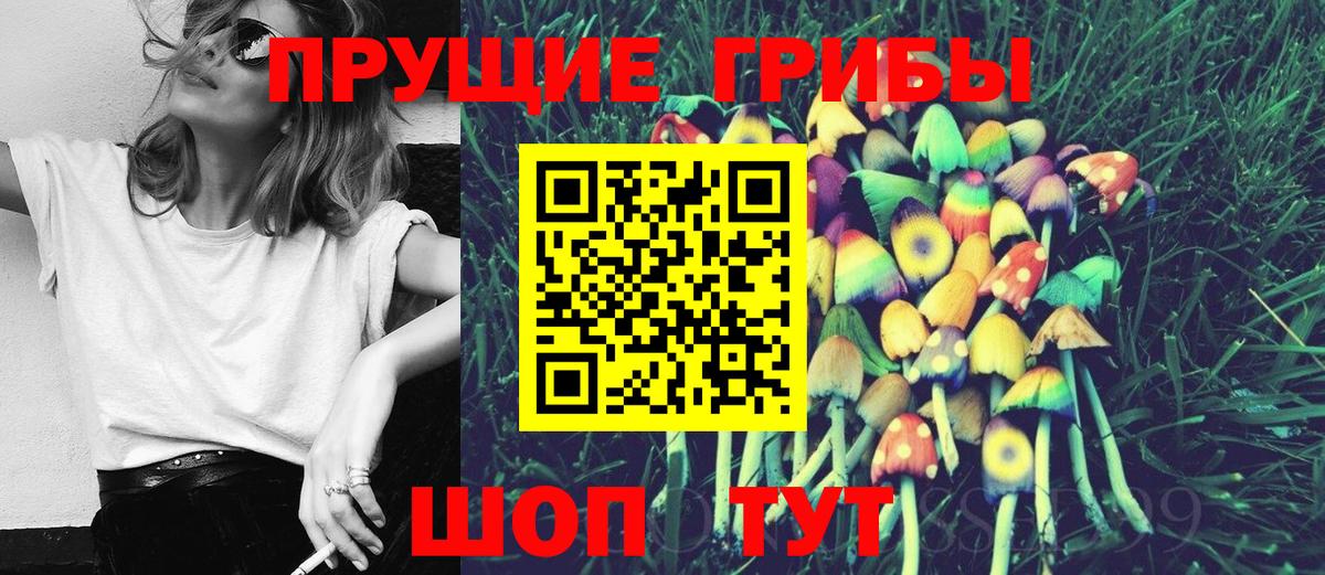 Галлюциногенные грибы прущие грибы Ульяновск