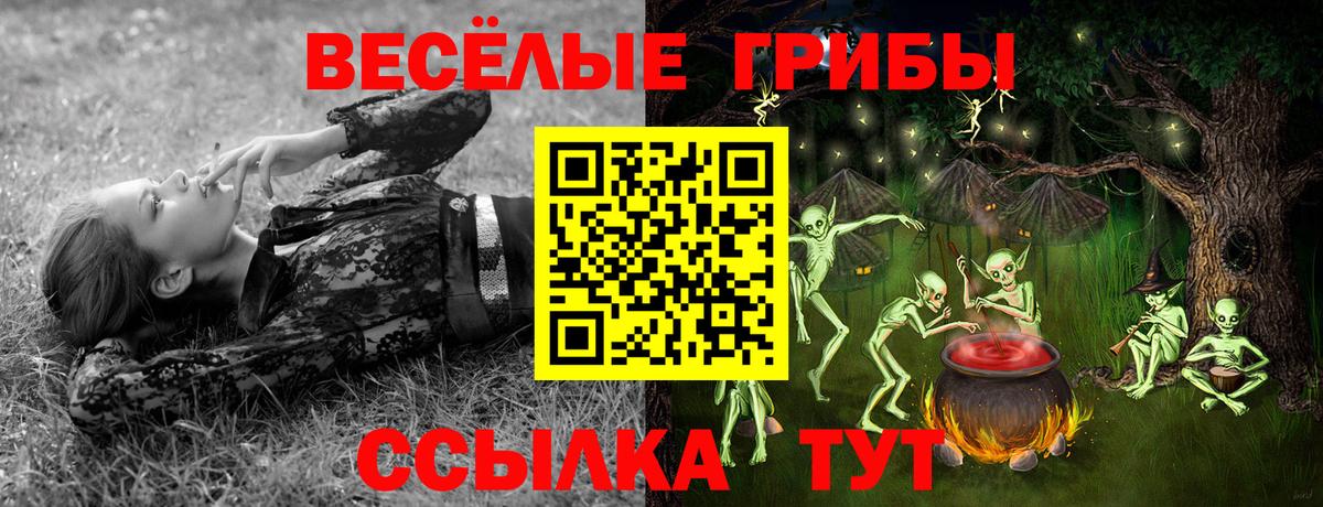 Псилоцибиновые грибы Psilocybe  Ульяновск 